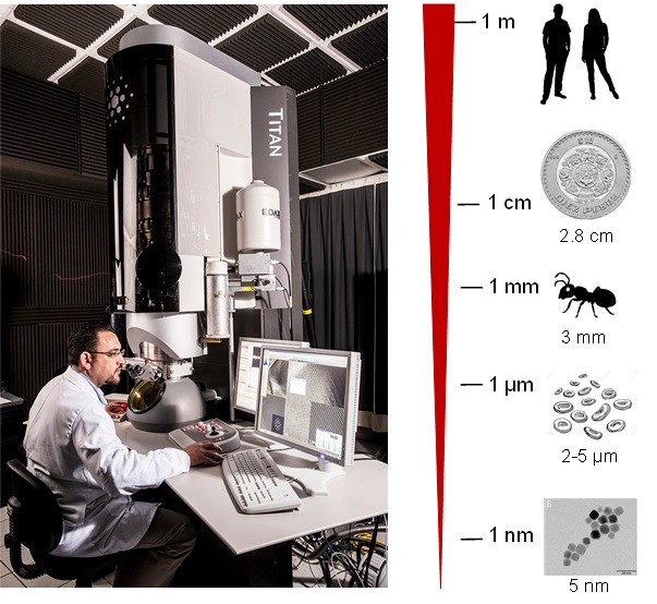 Microscopía electrónica de transmisión como técnica de análisis de vanguardia en compuestos poliméricos y materiales grafénicos.
