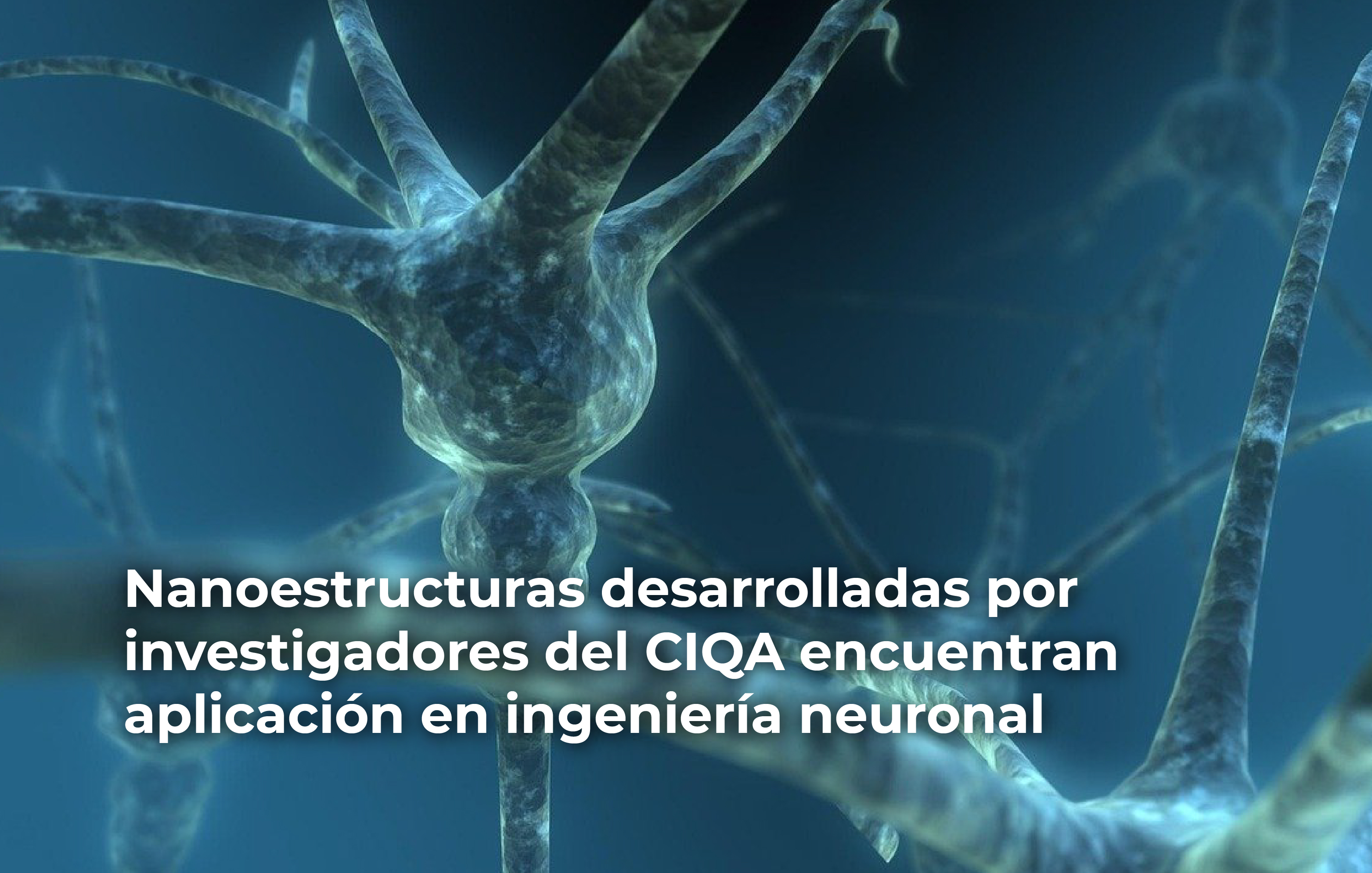 Nanoestructuras desarrolladas por las y los investigadores del CIQA encuentran aplicación en ingeniería neuronal