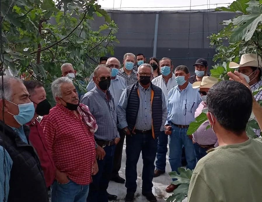 Productores de higo encabezados por el Secretario de Desarrollo Rural de Coahuila visitaron el CIQA