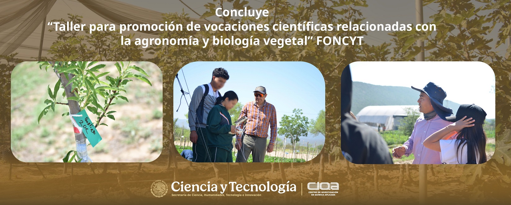 Concluye “Taller para la promoción de vocaciones científicas relacionadas con la agronomía y la biología vegetal” proyecto financiado por el FONCYT.